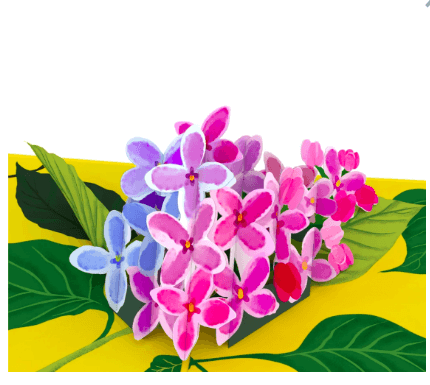 Love Pop Any Occasion Floral
