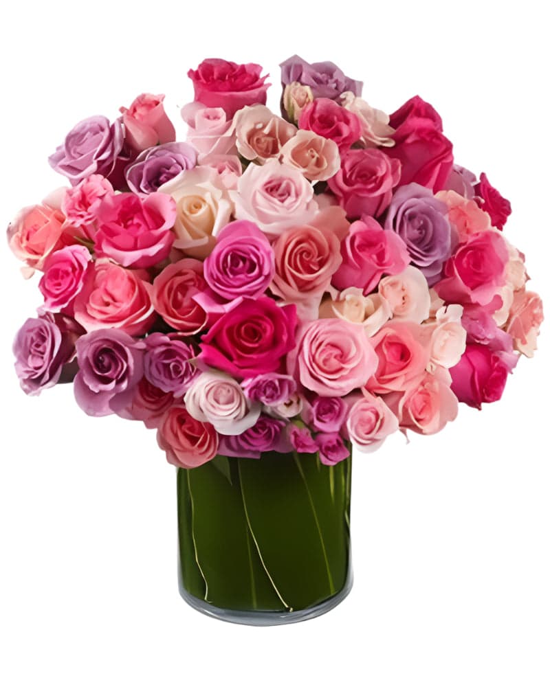 All My Love Roses