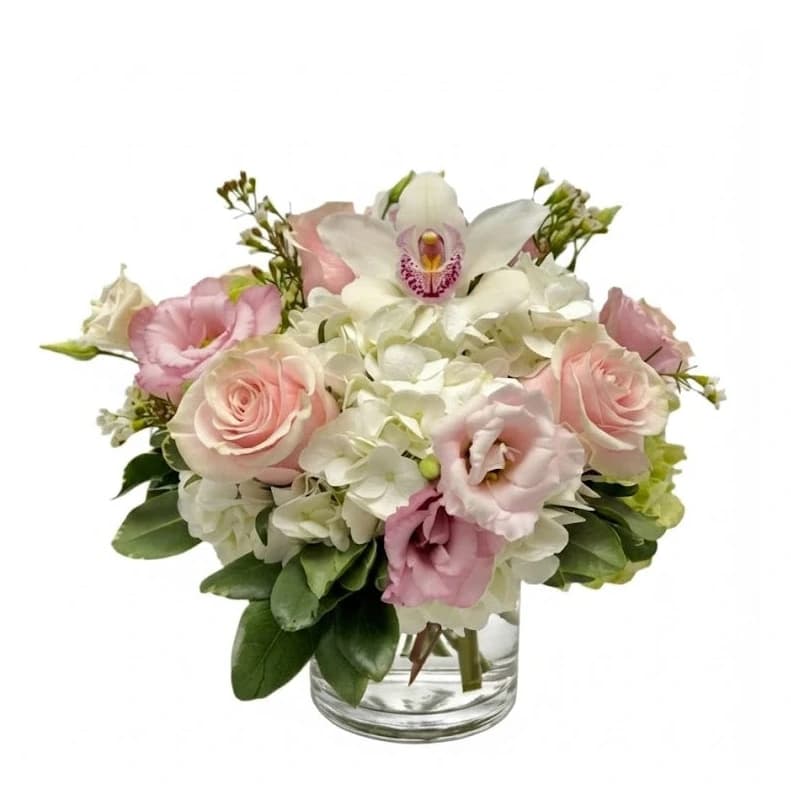 Blushing Bunch