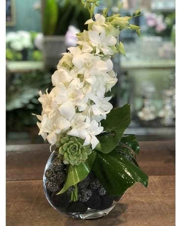 White Dendros