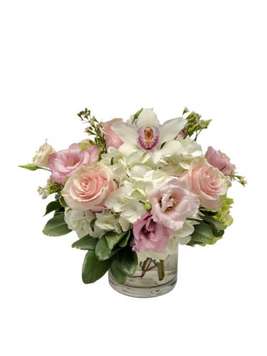 Blushing Bunch