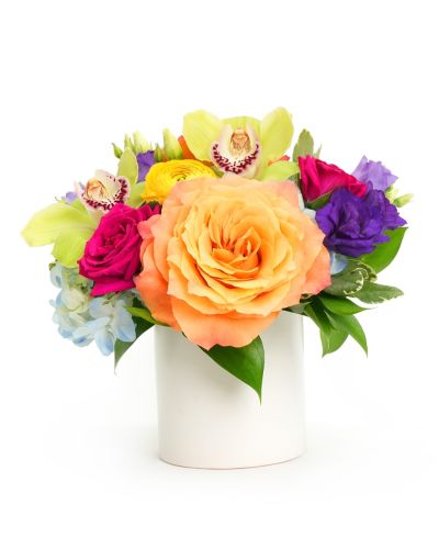 Colorburst Blooms