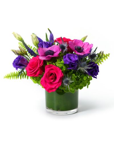 Gems in Bloom 